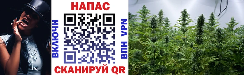Где купить наркотики Будённовск Бошки Шишки  Cocaine  Мефедрон 