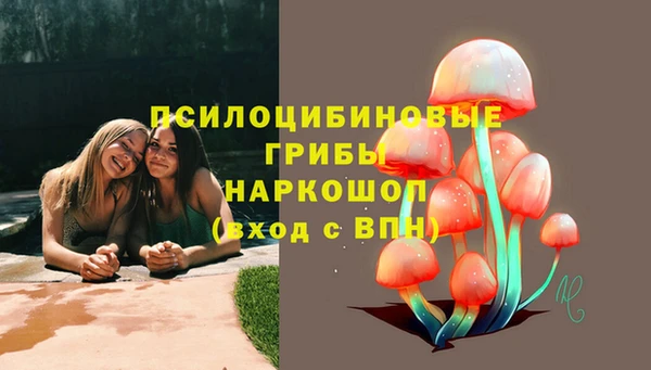 дурь Аркадак