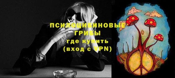 спайс Арсеньев