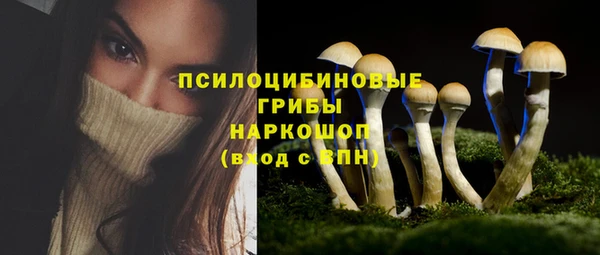 спайс Арсеньев