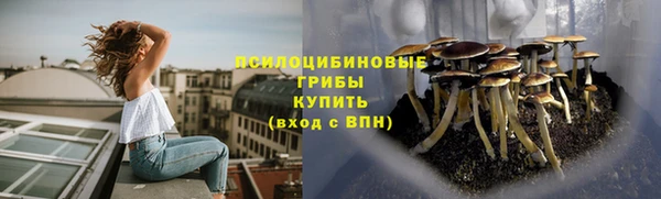 дурь Аркадак