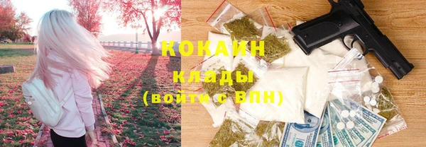 спайс Арсеньев